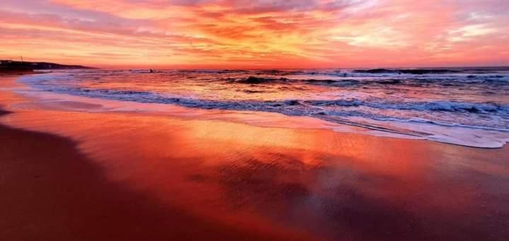 511 Umdloti Resort Beachfront 1Bed Self Catering Apartment Sea View Eksteriør bilde